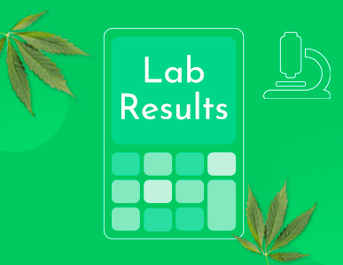 Lab Results Calculator